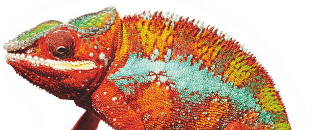 Cameleon