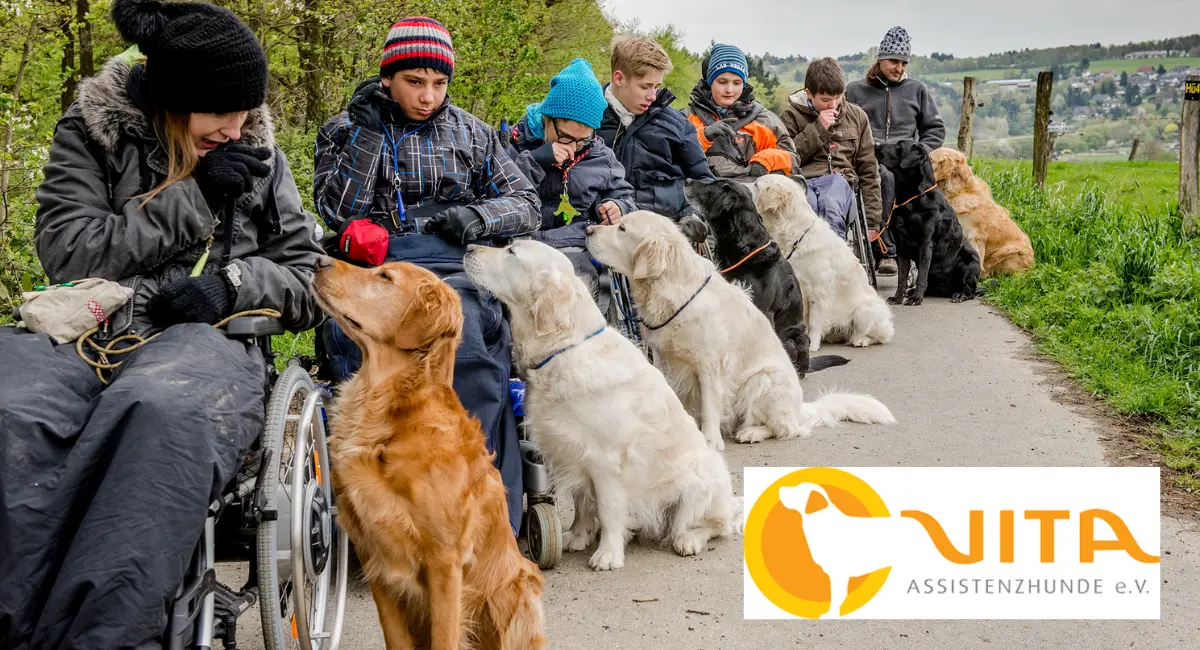Kinder im Rollstuhl mit Assistenzhunden von VITA Assistenzhunde e.V. bei einem Spaziergang im Freien