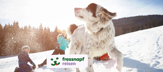 Fressnapf Reisen