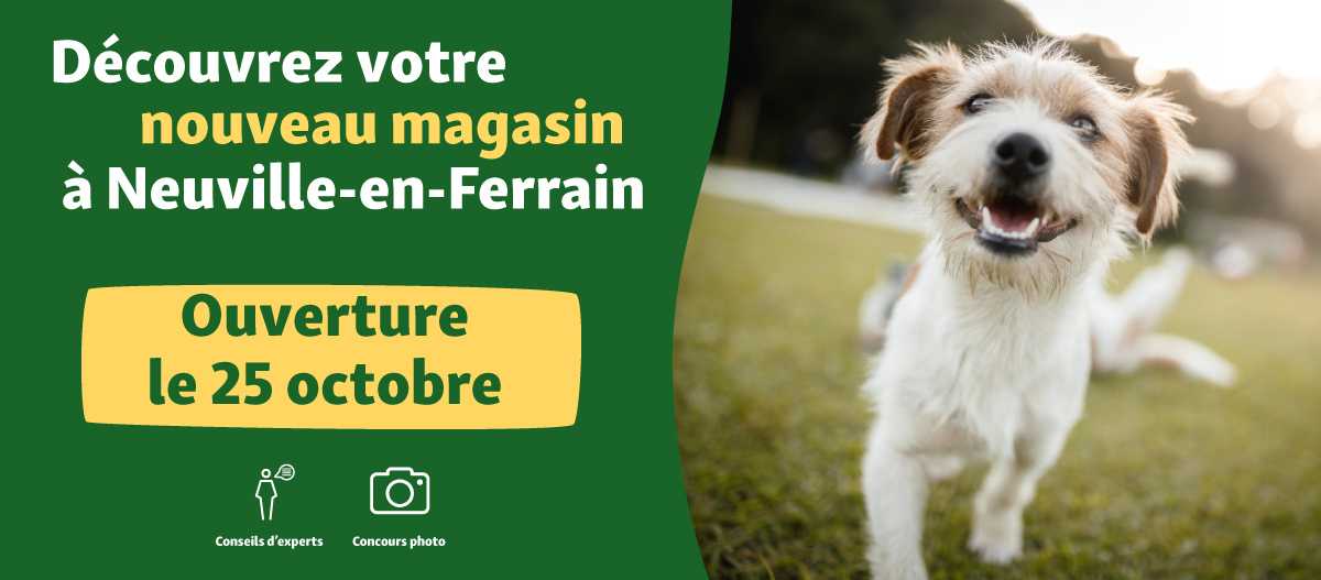 Banner-web-Neuvilleenferrain Opening FR Neuville-en-Ferrain 25.10.23