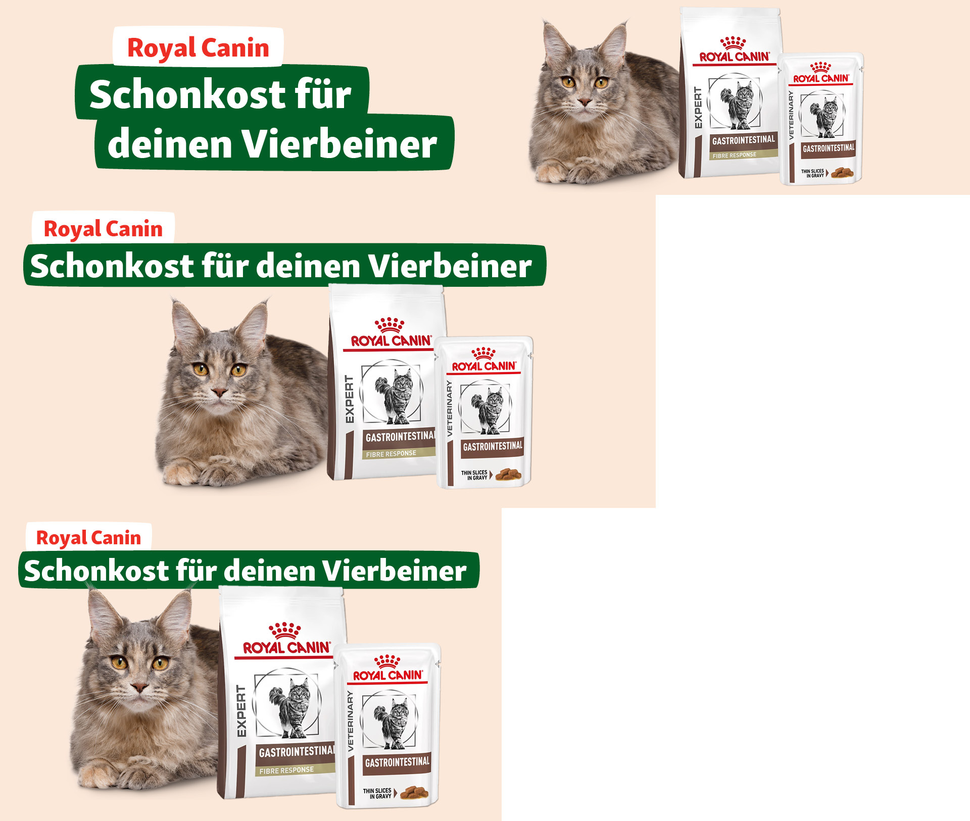 Royal Canin Gastrointestinal Katzenfutter mit entspannter Katze – Schonkost für deinen Vierbeiner
