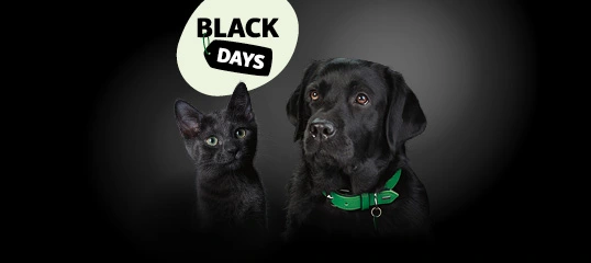 Schwarze Katze und schwarzer Hund nebeneinander vor dunklem Hintergrund mit dem Text 