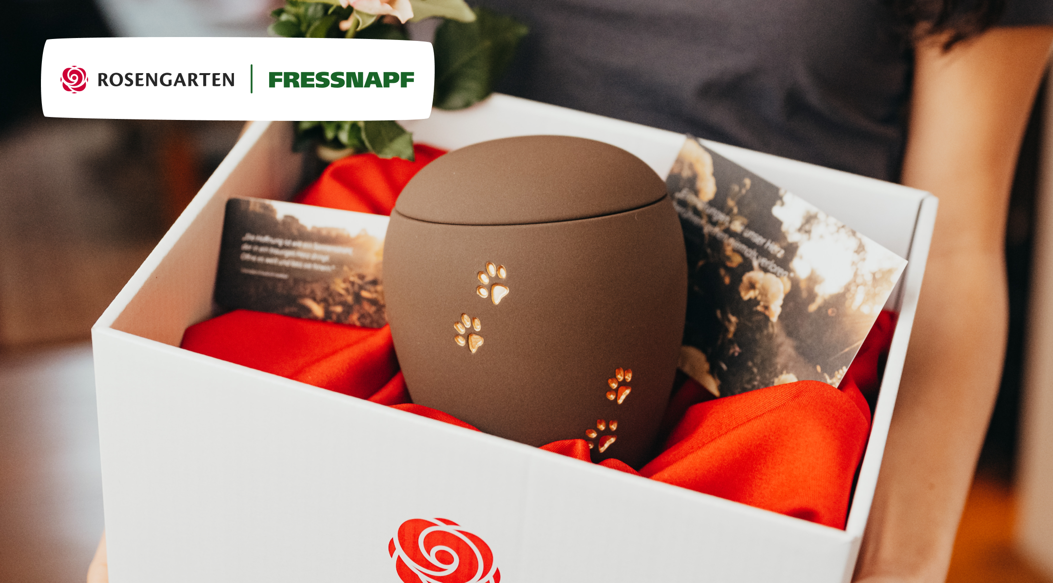 rosengarten_teaser_e Weiße Geschenkbox mit rotem Rosenlogo, darin eine braune Urne mit Pfotenabdrücken auf rotem Stoff, zwei Trauerkarten und Rosen, symbolisch für eine Haustiergedenkbox von Rosengarten und Fressnapf.