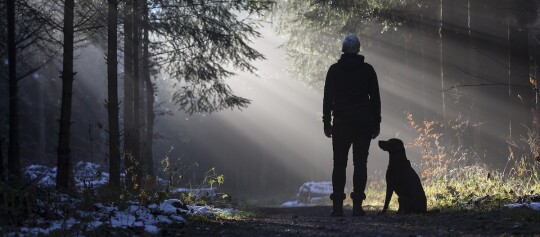 Frau steht mit Hund im Winterwald