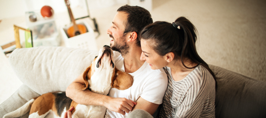 Einzug_neues_Tier_Teaser_Ohne_HL_NEU Glückliches Paar umarmt ihren fröhlichen Beagle-Hund auf dem Sofa im gemütlichen Wohnzimmer