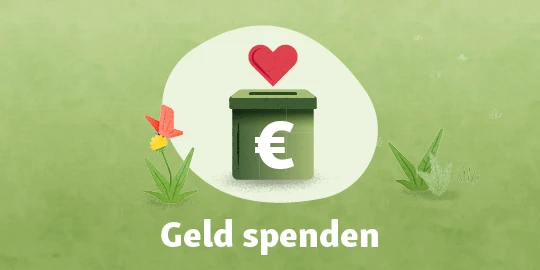 Grüne Spendendose mit Euro-Symbol und rotem Herz darüber, die Geldspenden symbolisiert