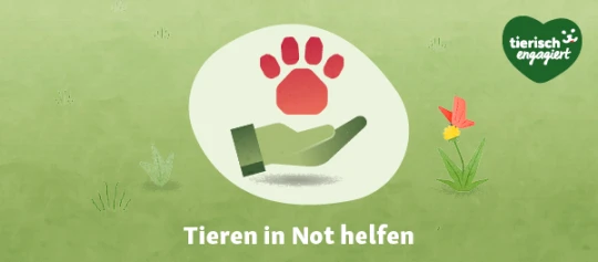 Hand hält rote Pfote – Tieren in Not helfen – tierisch engagiert Logo auf grünem Hintergrund mit Blume und Schmetterling