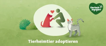 Illustration eines Menschen, der einen Hund aus dem Tierheim adoptiert, mit einer Katze daneben und dem Text „Tierheimtier adoptieren“