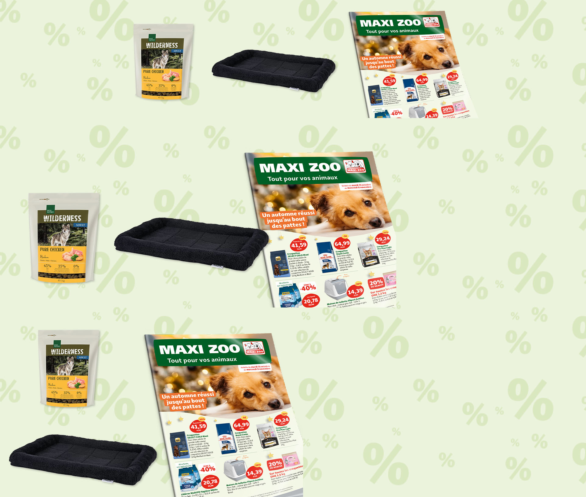 Motif avec nourriture pour chiens Wilderness, lit noir pour animaux et flyer Maxi Zoo avec offres d'automne sur fond vert clair avec symboles pourcentages.