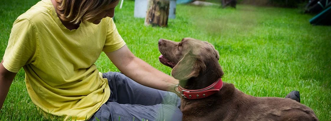 Mensch sitzt auf grünem Gras und spielt liebevoll mit braunem Hund mit rotem Halsband im Garten