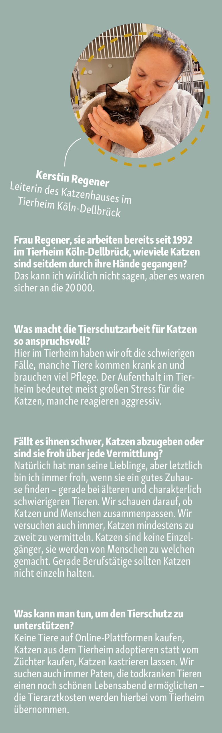Interview Kerstin Regener, Leiterin des Katzenhauses im Tierheim Köln-Dellbrück, hält liebevoll eine Katze und spricht über ihre langjährige Arbeit im Tierschutz.