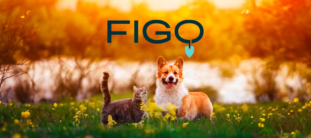 Figo