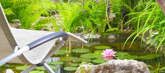 Nowoczesny fotel ogrodowy obok stawu z liliami wodnymi i paprociami w spokojnym ogrodzie