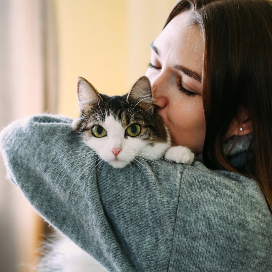 Jahresrückblick mit meiner Katze