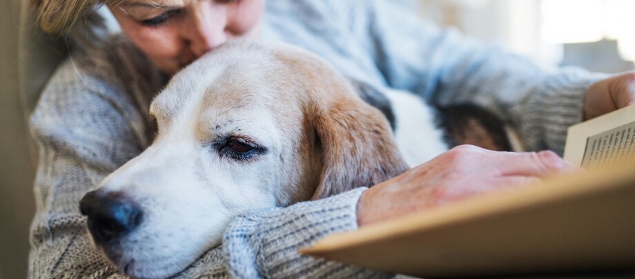 Eine Frau hält ihren älteren Hund im Arm