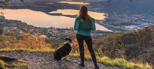 Frau mit Hund genießt den Sonnenuntergang über einem See und einer Stadt von einem Hügel aus