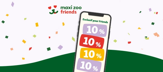 Friends voucher BE_FR