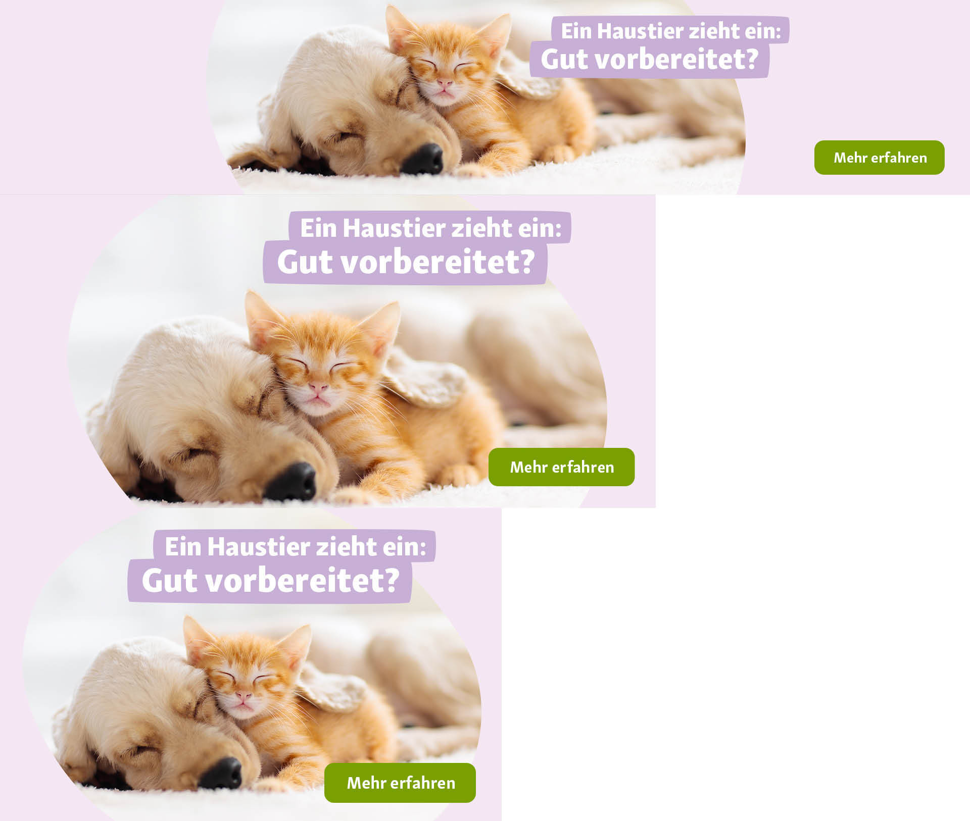 Header_NewPet Ein schlafender Golden Retriever Welpe kuschelt mit einem orangefarbenen Kätzchen auf einem weißen Teppich – Ein Haustier zieht ein: Gut vorbereitet?