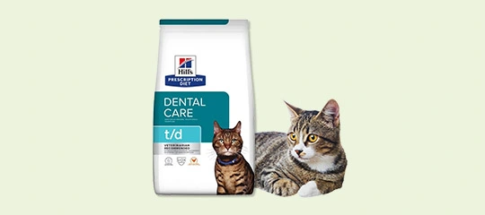 Hill's Prescription Diet t/d kattenvoer voor tandverzorging met liggende gestreepte kat