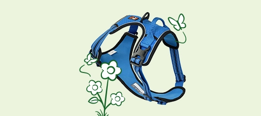 Harnais pour chien bleu rembourré avec sangles réglables sur fond de fleurs et papillon