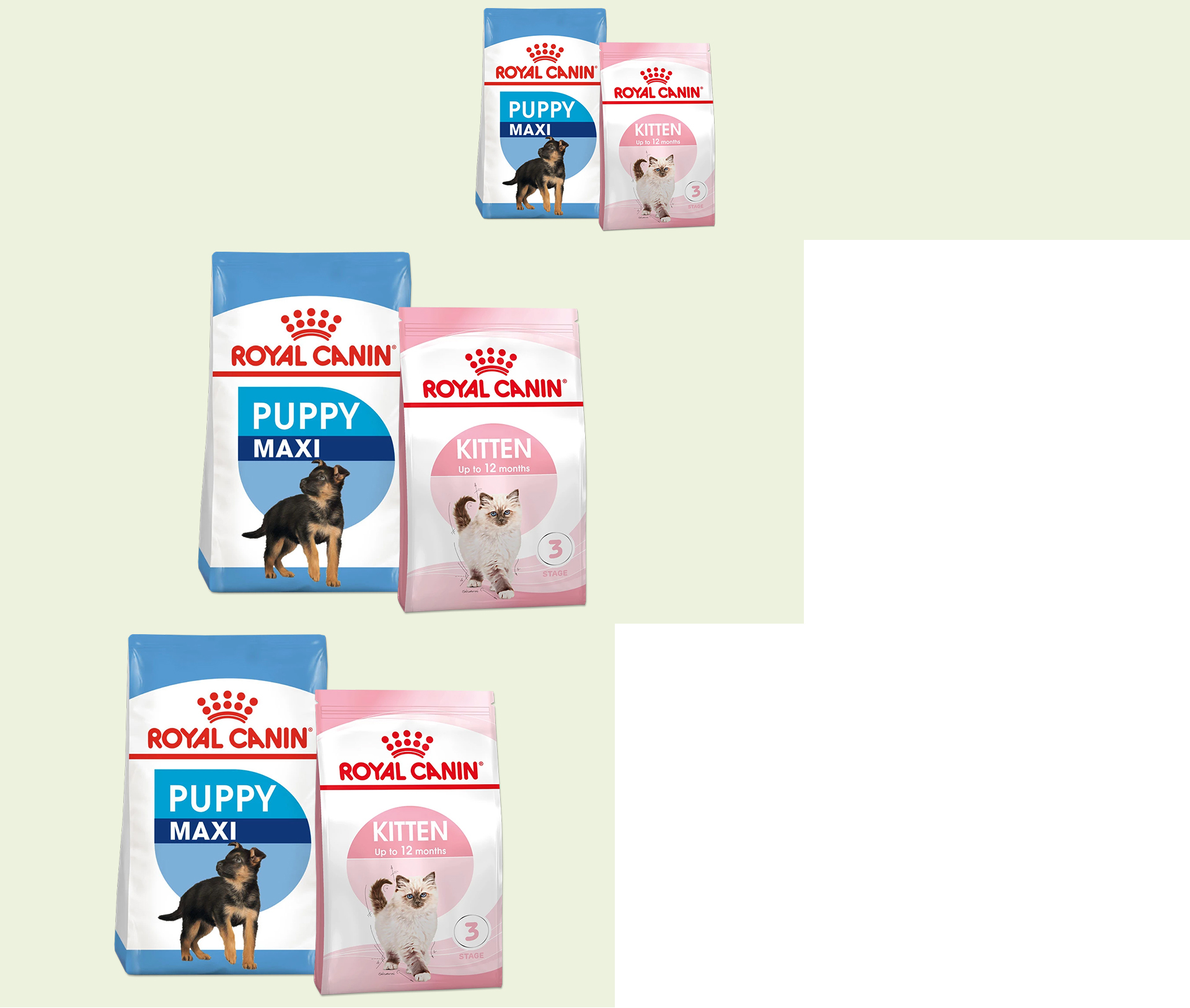 Royal Canin karma dla szczeniąt Maxi i karma dla kociąt do 12 miesięcy, niebieskie i różowe opakowania z obrazkami szczeniąt i kociąt.