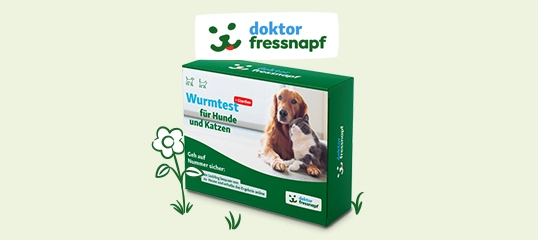 Wurmtest für Hunde und Katzen von doktor fressnapf mit Hundebild auf grünem Verpackungskarton
