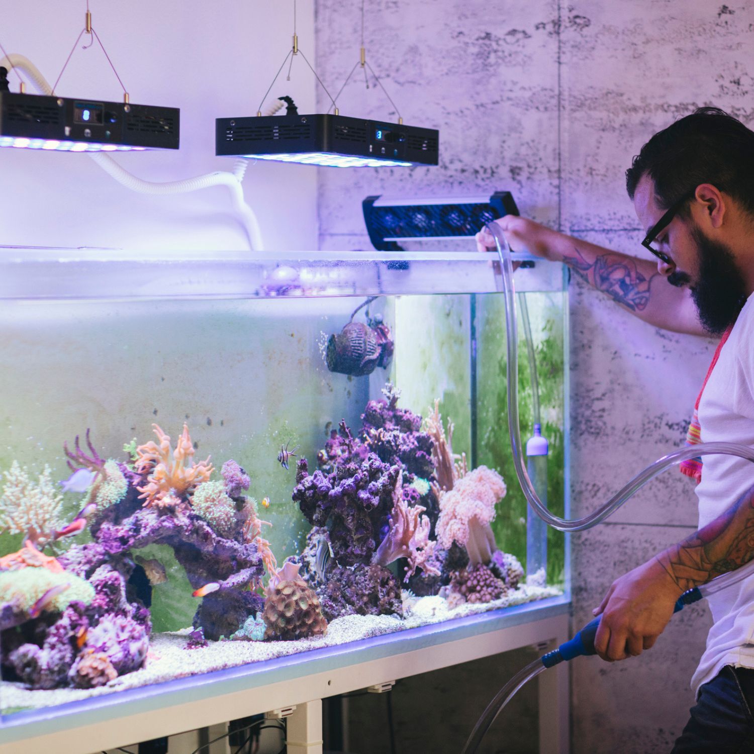 Aquarium wird von einem Mann optimiert