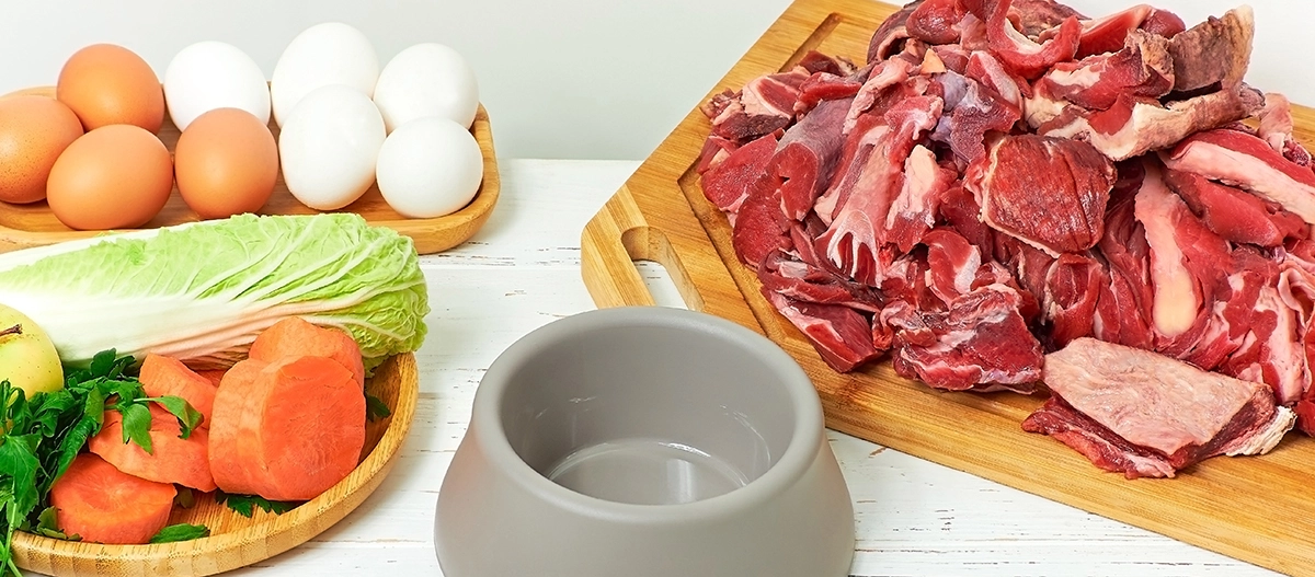 Frische Zutaten für hausgemachtes Hundefutter mit rohem Fleisch, Eiern, Gemüse und einer grauen Futterschüssel auf einem weißen Holztisch