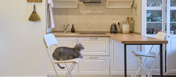 Gemütliche moderne Küche mit weißem Klappstuhl, auf dem eine graue Katze sitzt, Holzarbeitsplatte und weißen Schränken.