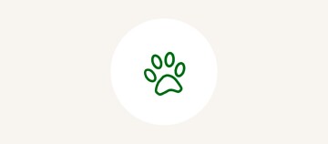 Paw icon