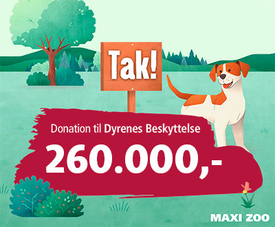 DK donation CSR 2020