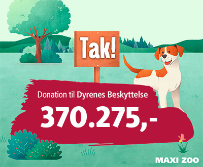 Donation CSR DK 2022