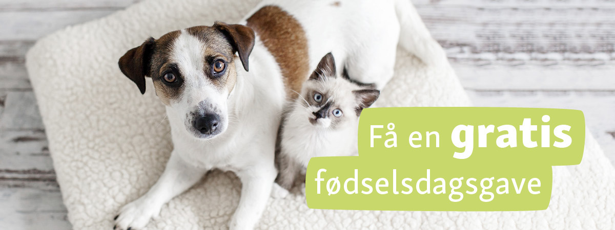 Fødselsdagsgave kæledyr DK