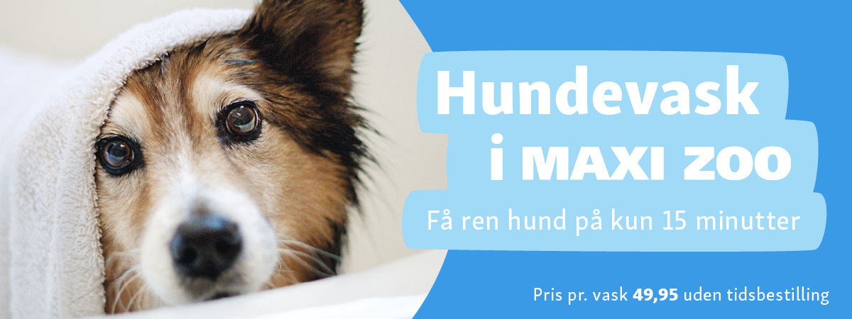 Hundevask i Maxi Zoo