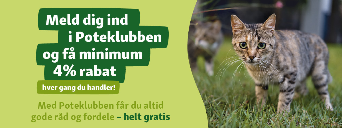 4266541_maxi_potoklub_webbanner_1200x450 Poteklub DK 4% discount