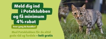 Poteklub DK 4% discount