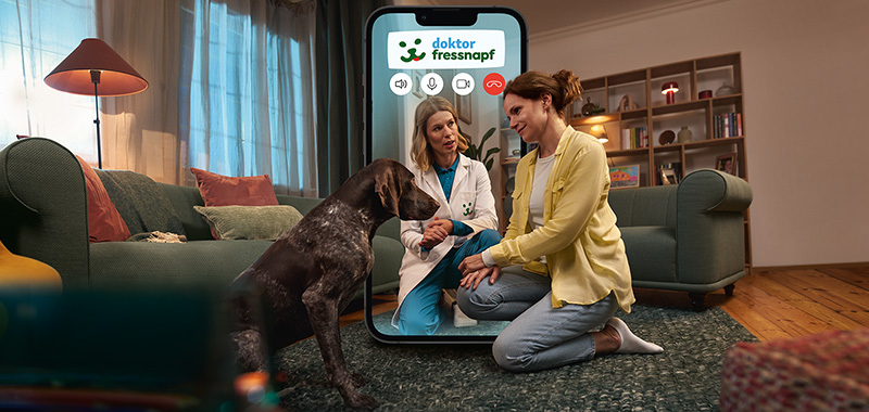 INT_KW11_CaretakerLP_LW_Double Tile Teaser. 800 x 380 Service Dr. Fressnapf Frau führt Videoanruf mit Tierärztin von Doktor Fressnapf, während sie mit ihrem Hund im Wohnzimmer interagiert