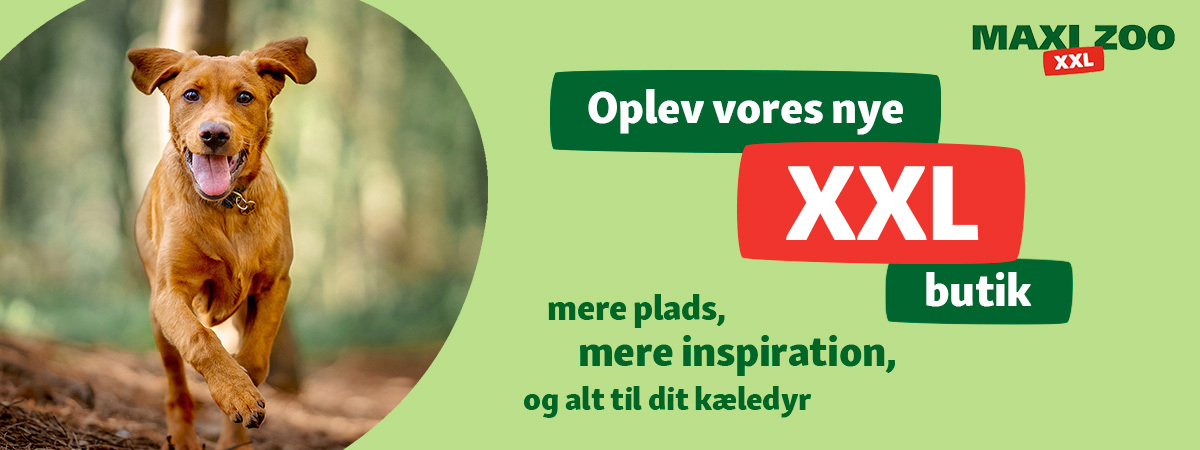 XXL-butik-topbanner-desktop-1200x450 Maxi Zoo XXL butik Topbanner
