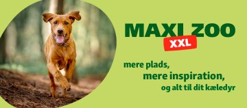Maxi Zoo XXL butik