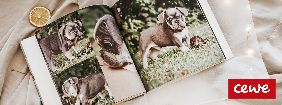 CEWE Poteklub samarbejdspartner DK