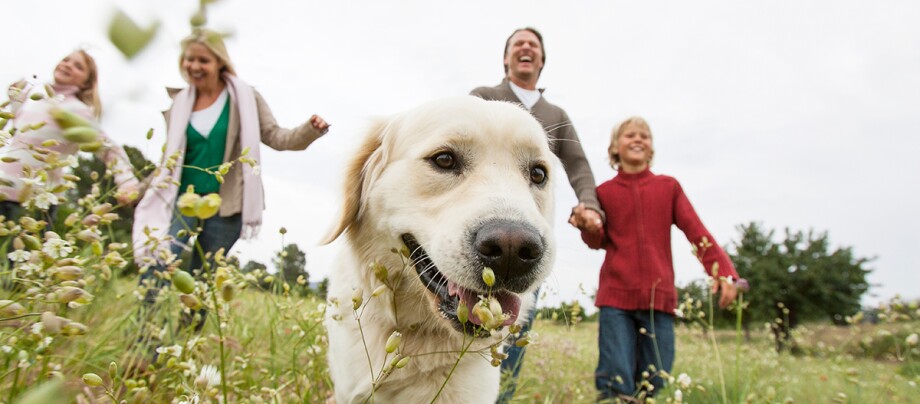 Familie mit Hund