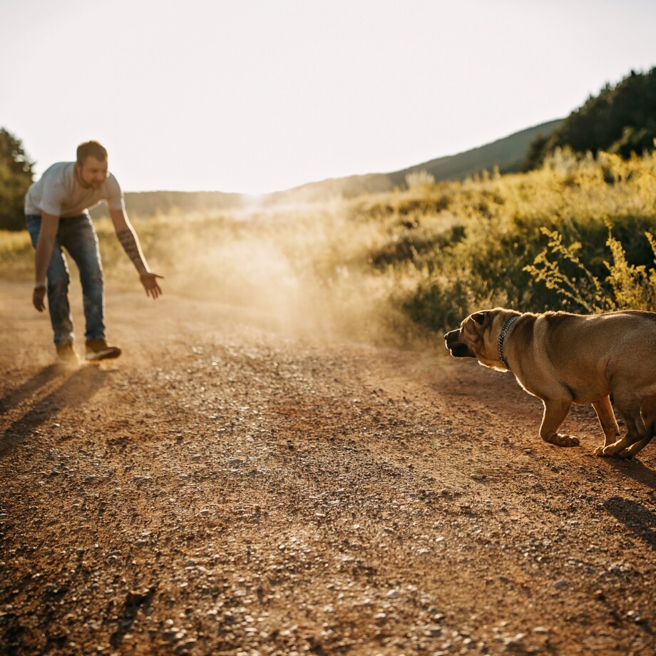 Mann spielt mit seinem Hund in der Natur