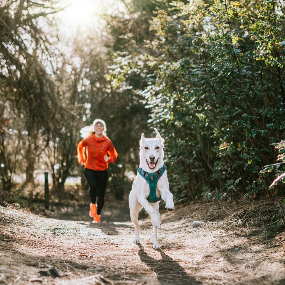 Eine Frau joggt mit ihrem Hund