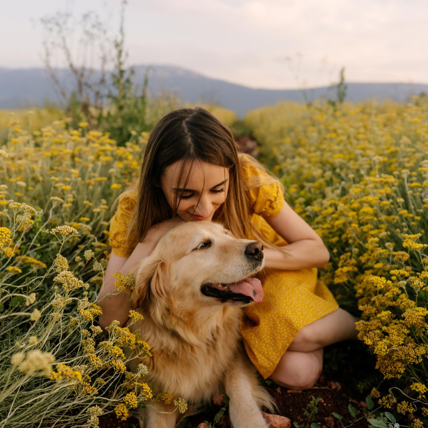 Frau ist mit ihrem Golden Retriever auf einer gelben Blumenwiese