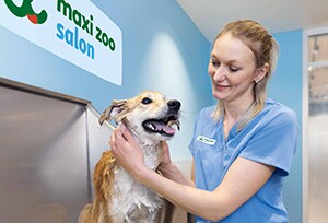 Maxi Zoo Salon Denmark