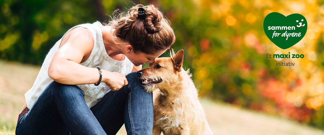 DK sammen for dyrene