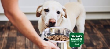 smagsgaranti homepage teaser