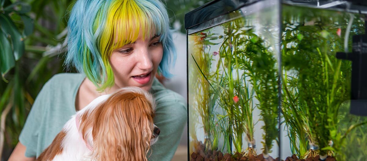 Teenager mit Hund vor Aquarium mit Fischen Junge Frau mit bunten Haaren betrachtet neugierig ein Aquarium mit grünen Wasserpflanzen und kleinen Fischen, während sie einen braun-weißen Hund hält.