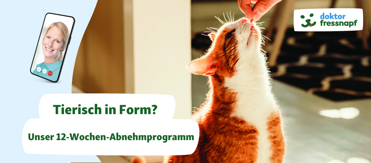 12-Wochen-Abnehmprogramm für Hunde und Katzen 12-Wochen-Abnehmprogramm für Hunde und Katzen