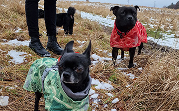 foto valentinsgåtur 2024 DK